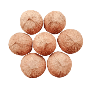THIMA Ceylon Natural Coconut Shell Halves โ Set of 40
