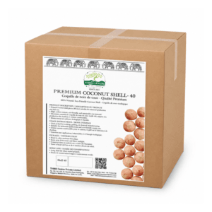 THIMA Ceylon Natural Coconut Shell Halves – Set of 40